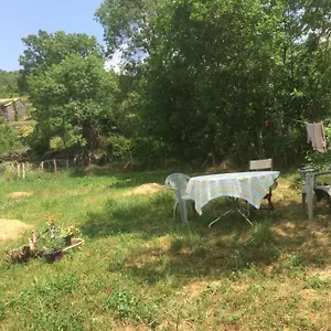 https://loiseau-chanteur.hotels-rhonealpes.com